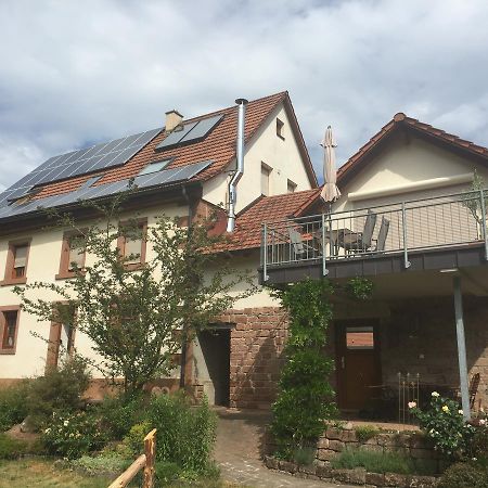 Ferienhaus Werkhof Schonau  Экстерьер фото