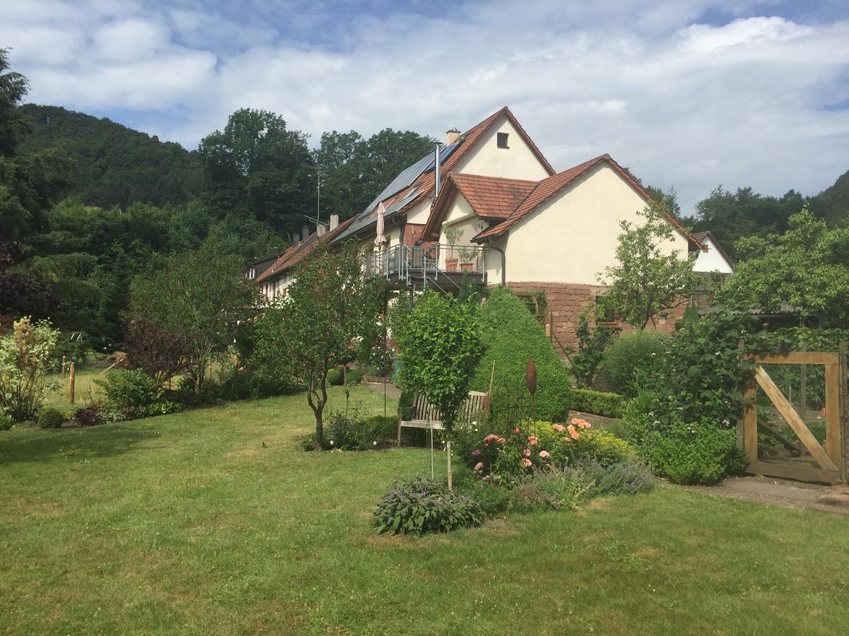 Ferienhaus Werkhof Schonau  Экстерьер фото